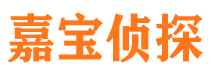 宁蒗市侦探公司